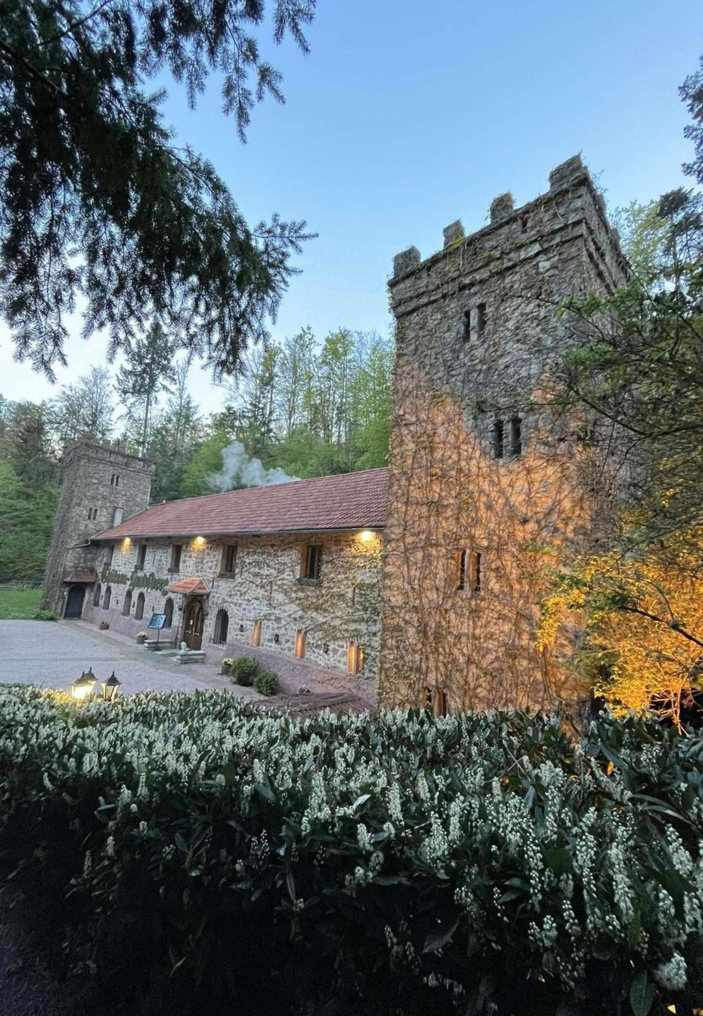 Le Chateau Du Landsberg Barr Exteriör bild