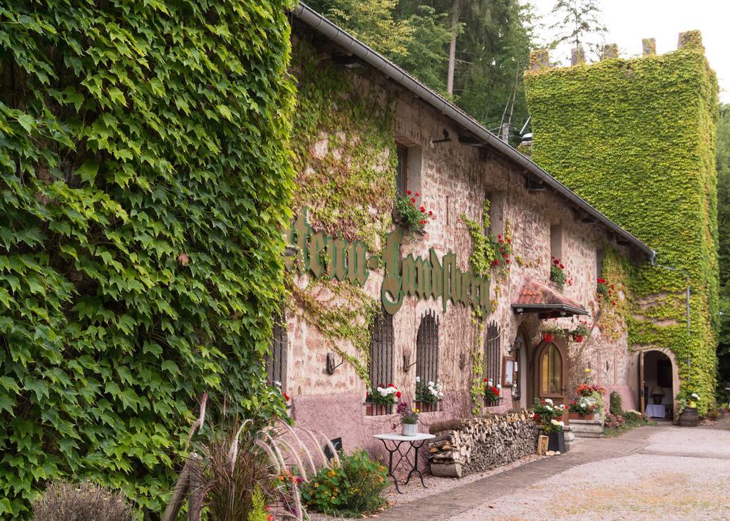 Le Chateau Du Landsberg Barr Exteriör bild